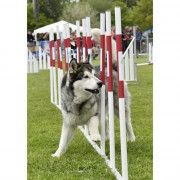 Slalom agility compétition pour chien – homologué FCI, démontable et stable