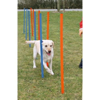 Slalom d’agility pour chien – 12 piquets avec housse de transport
