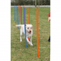 Slalom d’agility pour chien – 12 piquets avec housse de transport