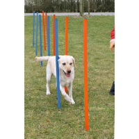Slalom d’agility pour chien – 12 piquets avec housse de transport Slalom d’agility pour chien – 12 piquets avec housse de transport