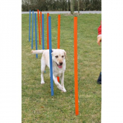 Slalom pour parcours agility avec 12 piquets