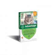 Pipettes antiparasitaires pour chats et lapins