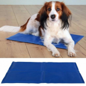 atelas rafraîchissant pour chien – Anti-chaleur, autonome et réutilisable