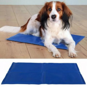 atelas rafraîchissant pour chien – Anti-chaleur, autonome et réutilisable