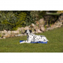 /produits-rafraichissants-pour-animaux/atelas-rafraichissant-pour-chien-anti-chaleur-autonome-et-reutilisable-p-4002473.2-600x600.jpg