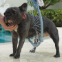 /produits-rafraichissants-pour-animaux/douche-360-pour-chiens-p-4003703.2-600x600.jpg