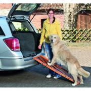 Rampe d'accès pliante en bois 