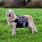 Sacoche de randonnée pour chien – Sac de bât robuste avec poches et gourde