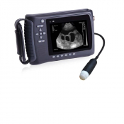 Scanner à ultrasons avec sonde convexe – portatif vétérinaire