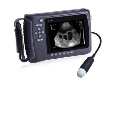 Scanner à ultrasons avec sonde convexe – portatif vétérinaire