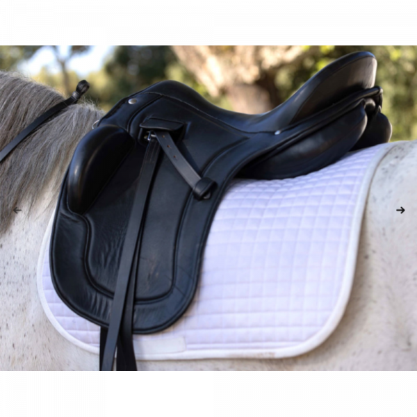 Selle en cuir marron d'occasion : Equipements | Equitation - 27/04/2023