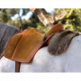 /selles-pour-chevaux/selle-relvas-eqt-p-4004096.1-600x600.png