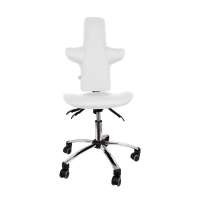 Chaise de Pratique Médicale Confortable – Ergonomique – Réglable et Hygiénique Chaise de Pratique Médicale Confortable – Ergonomique – Réglable et Hygiénique