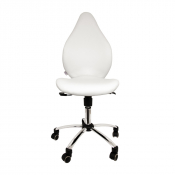 Chaise de Travail Ergonomique – Design Moderne et Robuste - 5 couleurs différentes