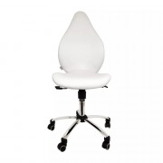 Chaise de Travail Ergonomique – Design Moderne et Robuste - 5 couleurs différentes
