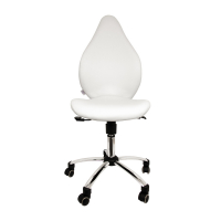 Chaise de Travail Ergonomique – Design Moderne et Robuste - 5 couleurs différentes