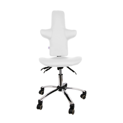 Chaise de cabinet confortable - 2 couleurs 
