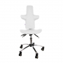 Chaise de cabinet confortable - 2 couleurs 