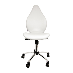 Chaise de travail ergonomique - 5 couleurs différentes