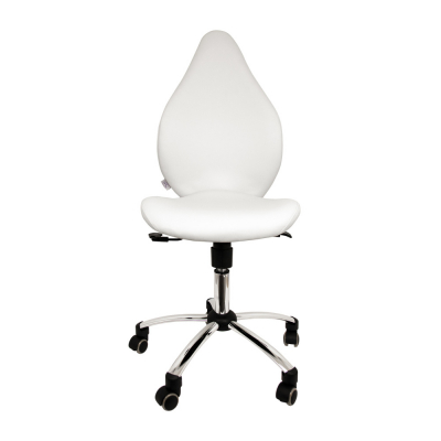 Chaise de travail ergonomique - 5 couleurs différentes