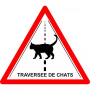 Pictogramme "Attention traversée de chats" autocollant