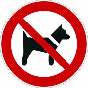 Pictogramme "Interdit aux chiens" en PVC rigide