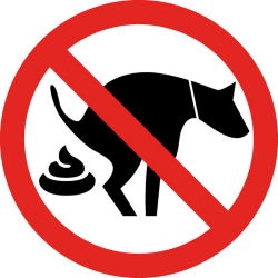 Pictogramme "Panneau déjection canine interdite" en PVC rigide