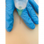 /simulateurs-de-soins-veterinaires/entraineur-de-ponction-et-injection-intramusculaires-p-4002917.1-600x600.jpg