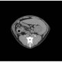 /simulateurs-de-soins-veterinaires/fantome-d-abdomen-de-chien-pour-radiographie-et-scanner-p-4003940.2-600x600.png