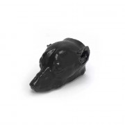 Fantôme de tête de chien pour radiographie et scanner
