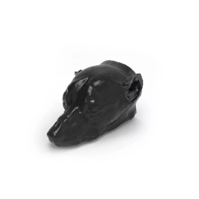 Fantôme de tête de chien pour radiographie et scanner