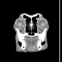 /simulateurs-de-soins-veterinaires/fantome-de-tete-de-chien-pour-radiographie-et-scanner-p-4003939.3-600x600.jpg