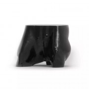 Fantôme pelvien de chien pour radiographie et scanner