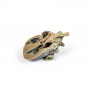 /simulateurs-de-soins-veterinaires/kit-d-echographie-pour-chiens-p-4004394.4-600x600.jpeg