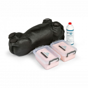 Kit de formation à l'échographie canine 