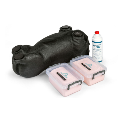 Kit de formation à l'échographie canine 