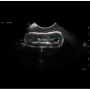 /simulateurs-de-soins-veterinaires/kit-de-formation-a-l-echographie-canine-p-4004239.5-600x600.png