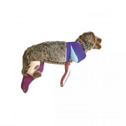 Mannequin de bandage Rufus pour formation vétérinaire