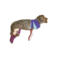 Mannequin de bandage Rufus pour formation vétérinaire Mannequin de bandage Rufus pour formation vétérinaire
