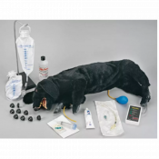 Mannequin de chien CPR avec accessoires