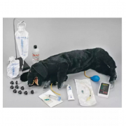 Mannequin de chien CPR avec accessoires