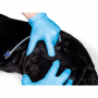 /simulateurs-de-soins-veterinaires/mannequin-de-chien-de-travail-militaire-p-4003936.4-600x600.jpg