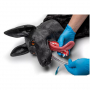 /simulateurs-de-soins-veterinaires/mannequin-de-chien-de-travail-militaire-p-4003936.6-600x600.jpg