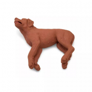 Mannequin de chien pour entraînement à la RCP canine