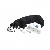 Mannequin de chien pour entrainement RCP
