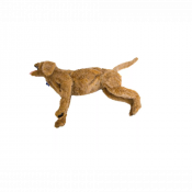 Mannequin de chien pour gestion des voies respiratoires