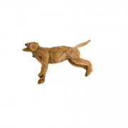 Mannequin de chien pour gestion des voies respiratoires