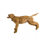 Mannequin de chien pour la formation aux premiers secours vétérinaires Mannequin de chien pour la formation aux premiers secours vétérinaires
