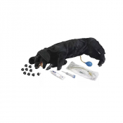Mannequin de chien pour la simulation de réanimation cardio-pulmonaire (RCP)