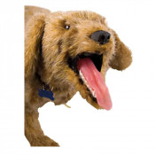 Mannequin de chien pour pour formation aux premiers secours